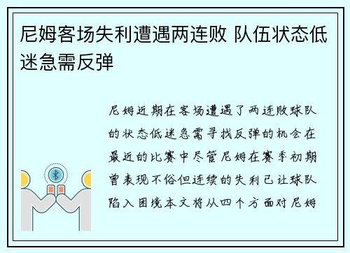 尼姆客场失利遭遇两连败 队伍状态低迷急需反弹